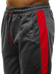 Pantaloni de trening bărbaţi antracit OZONEE JS/JZ11013