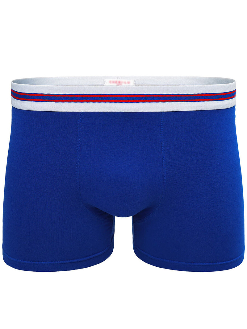 Boxeri bărbați albaștri OZONEE O/CG6010