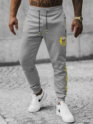 Pantaloni de trening bărbaţi gri OZONEE JS/K10237Z
